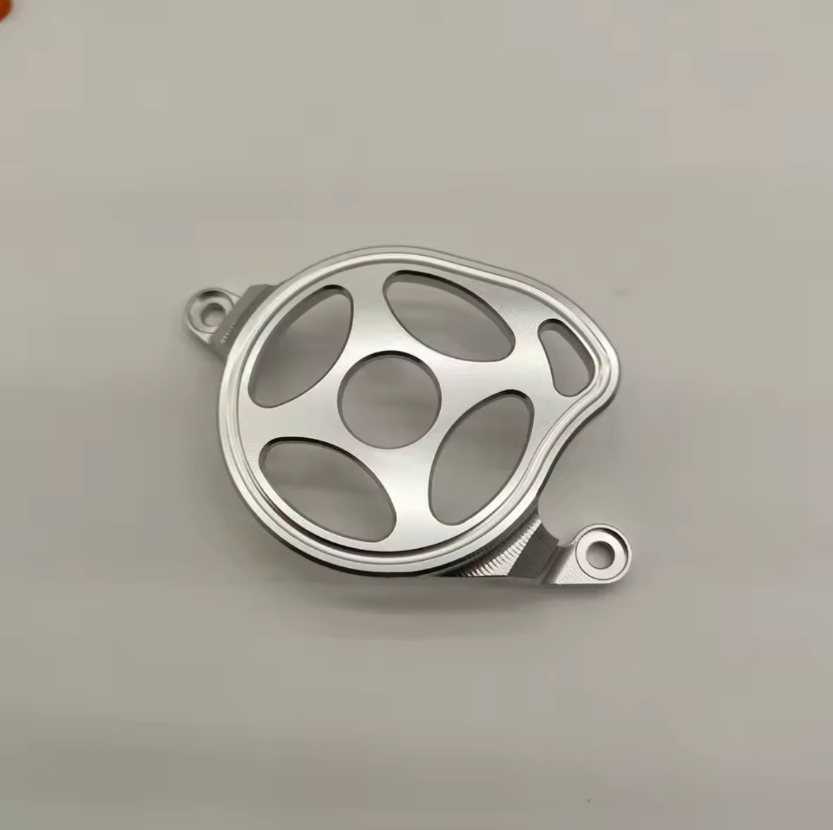 MOTOR COVER FOR SURRON LBX/79BIKE